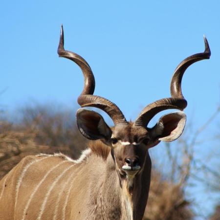 Sentosa Place Hoedspruit Bagian luar foto